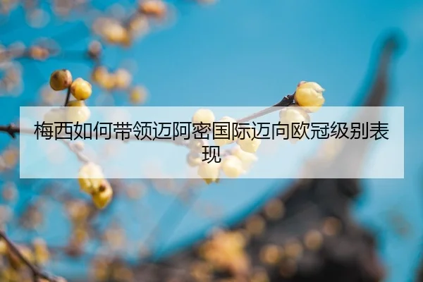 mei-xi-ru-he-dai-ling-mai-a-mi-guo-ji-mai-xiang-ou-guan-ji-bie-biao-xian-2-996.jpg