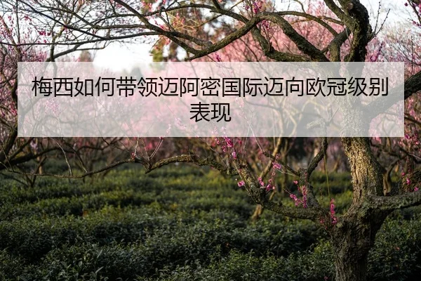 梅西如何带领迈阿密国际迈向欧冠级别表现